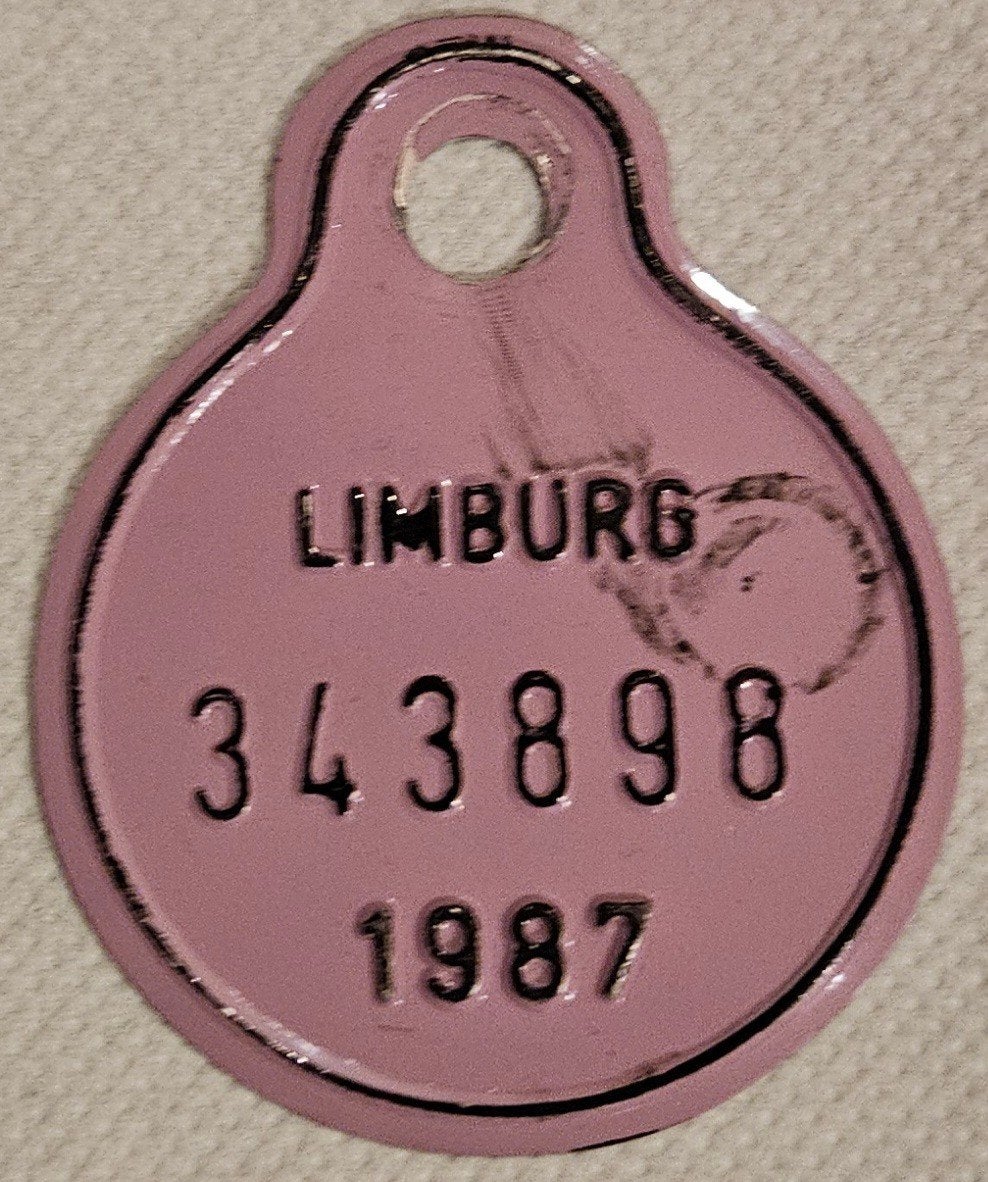 Plaque de vélo Limburg 1987 343898
Ce sont des Belges, Enlèvement ou Envoi