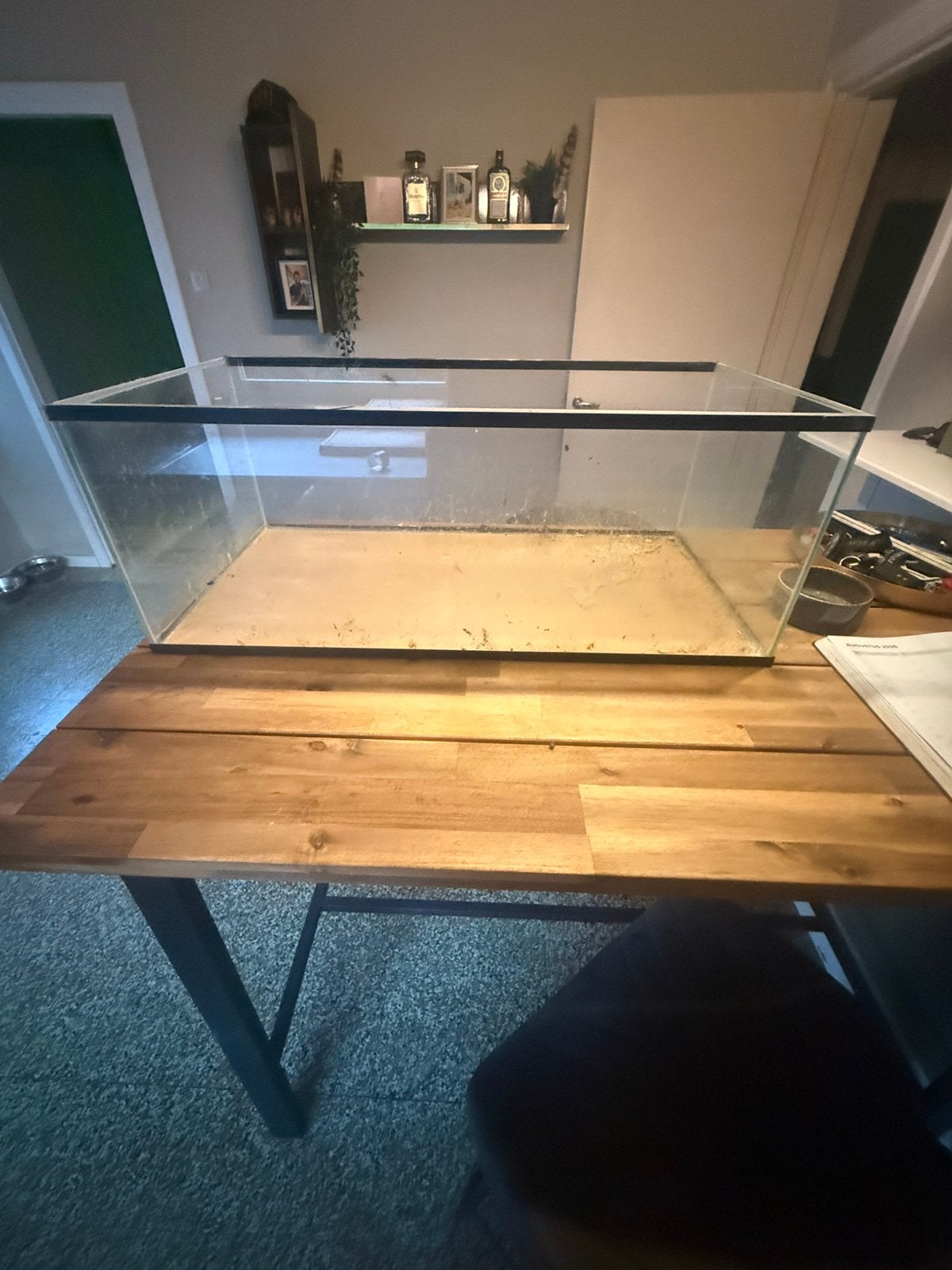 Terrarium van glas, Ophalen, Zo goed als nieuw