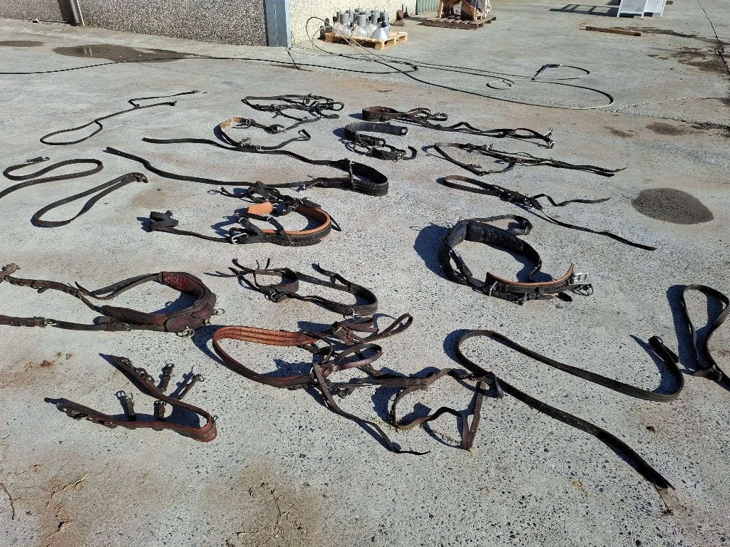 Lot de harnais et accessoires pour chevaux, Enlèvement, Utilisé