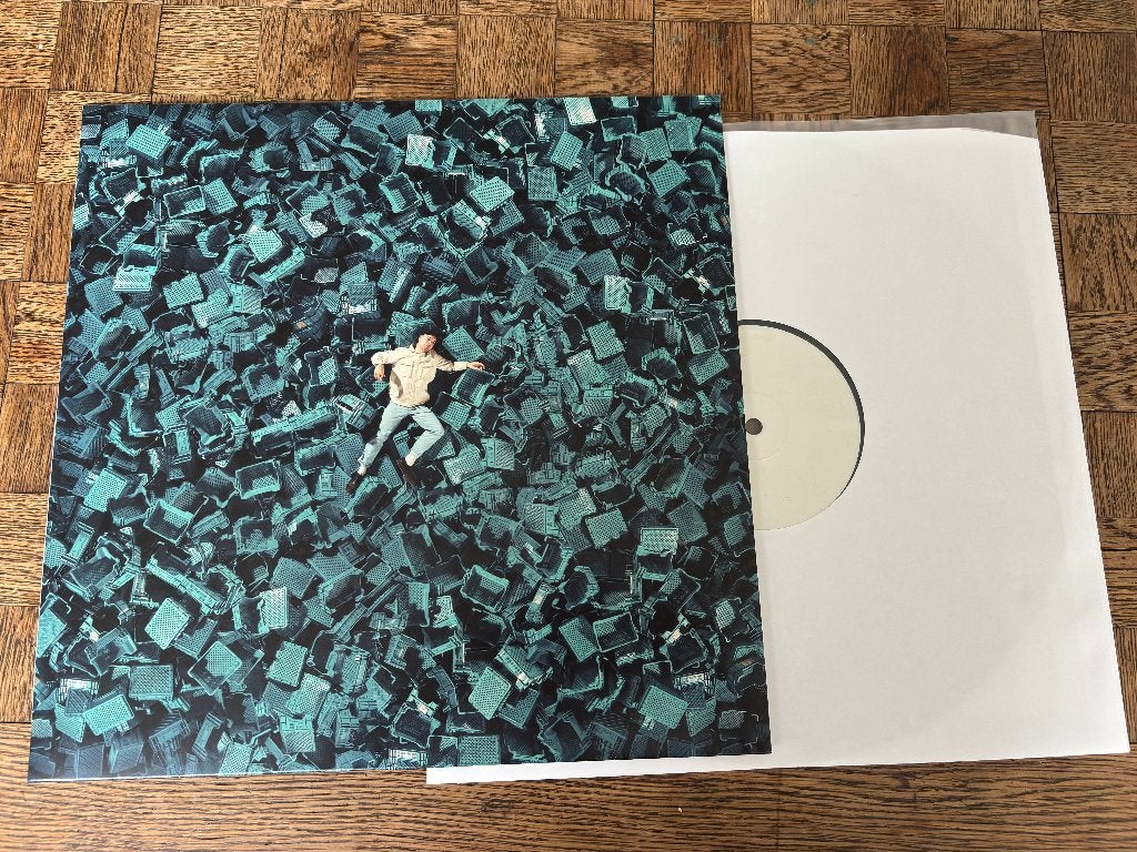 Droomvoeding - Brihang gesigneerd, Cd's en Dvd's, LP, Gesigneerd, Ophalen of Verzenden, 12 inch