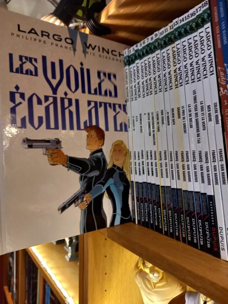 Série LARGO WINCH, volumes de 1 à  22, Enlèvement
