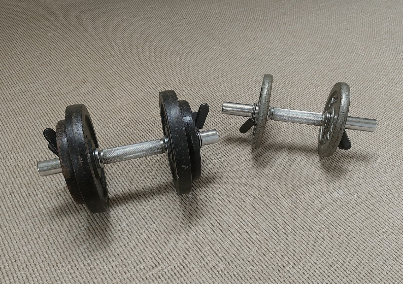 Lot de 2 haltères réglables en fonte — env. 20 kg, Sports & Fitness, Enlèvement