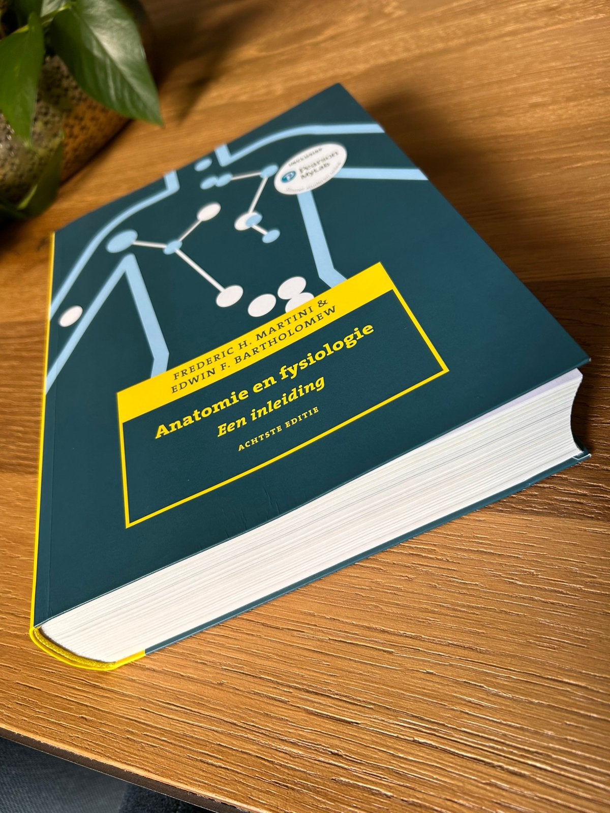 Boek ‘Anatomie en fysiologie’ (8e editie) **NIEUW**, Ophalen, Nederlands, Frederic H. Martini; Edwin F. Bartholomew
