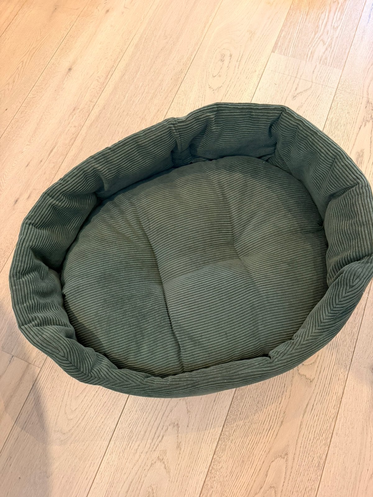 Hondenmand Dog in the city, Dieren en Toebehoren, Hondenmanden, Ophalen of Verzenden, Nieuw