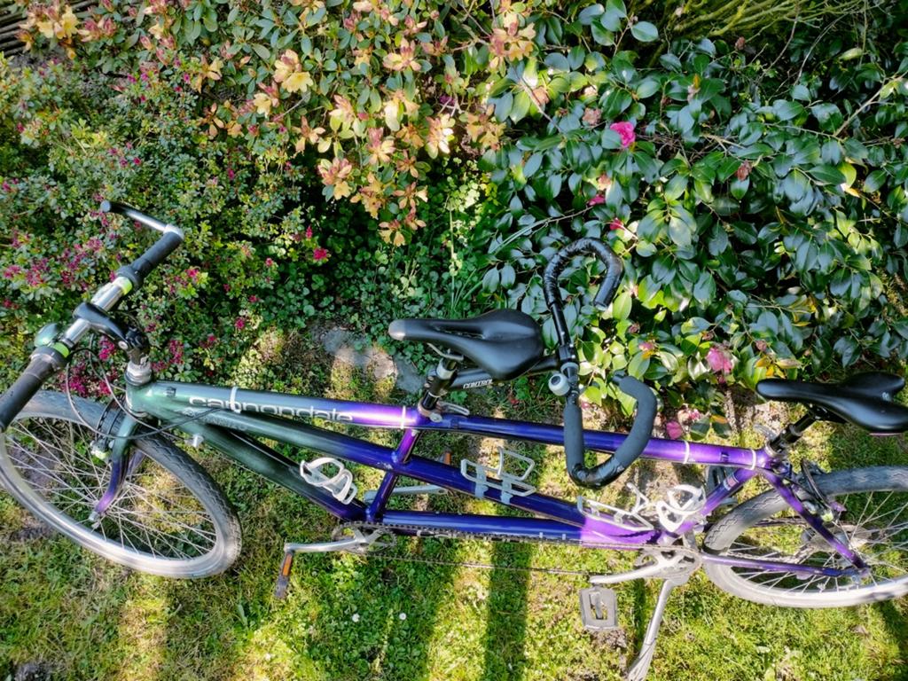 Sportieve, top tandem van degelijk mer Cannondale, Fietsen en Brommers, Fietsen | Tandems, Ophalen