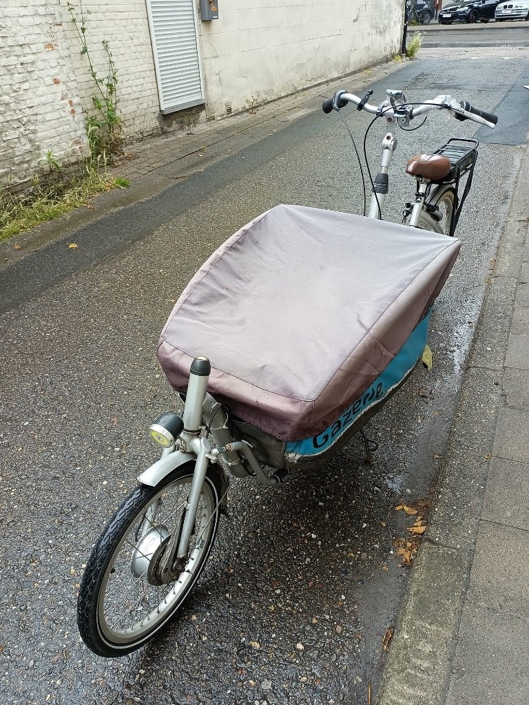 Bakfiets, Fietsen en Brommers, Fietsen | Bakfietsen, Ophalen, Terugtraprem, Gebruikt, Elektrisch