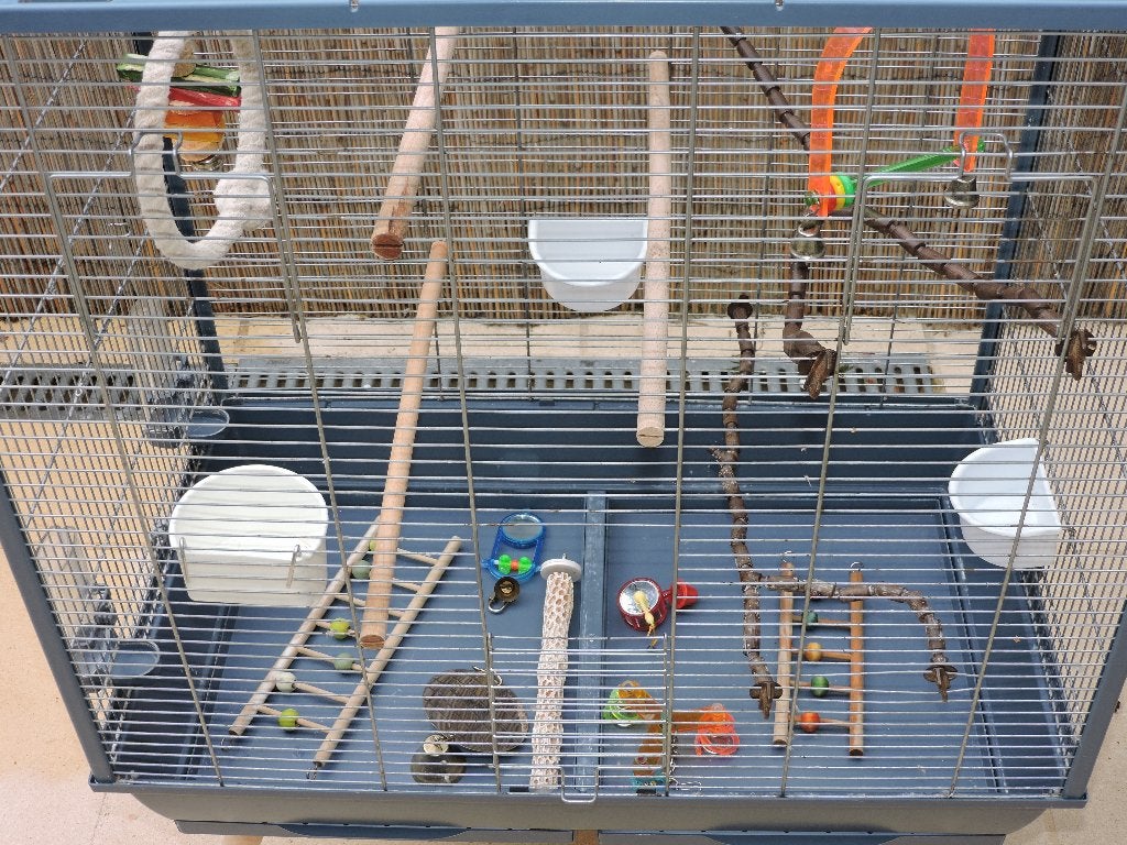 cage oiseaux, Enlèvement, Utilisé, Métal, Cage à oiseaux