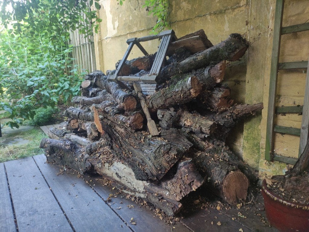 Gratis brandhout, Tuin en Terras, Brandhout, Minder dan 3 m³, Ophalen, Overige houtsoorten, Stammen