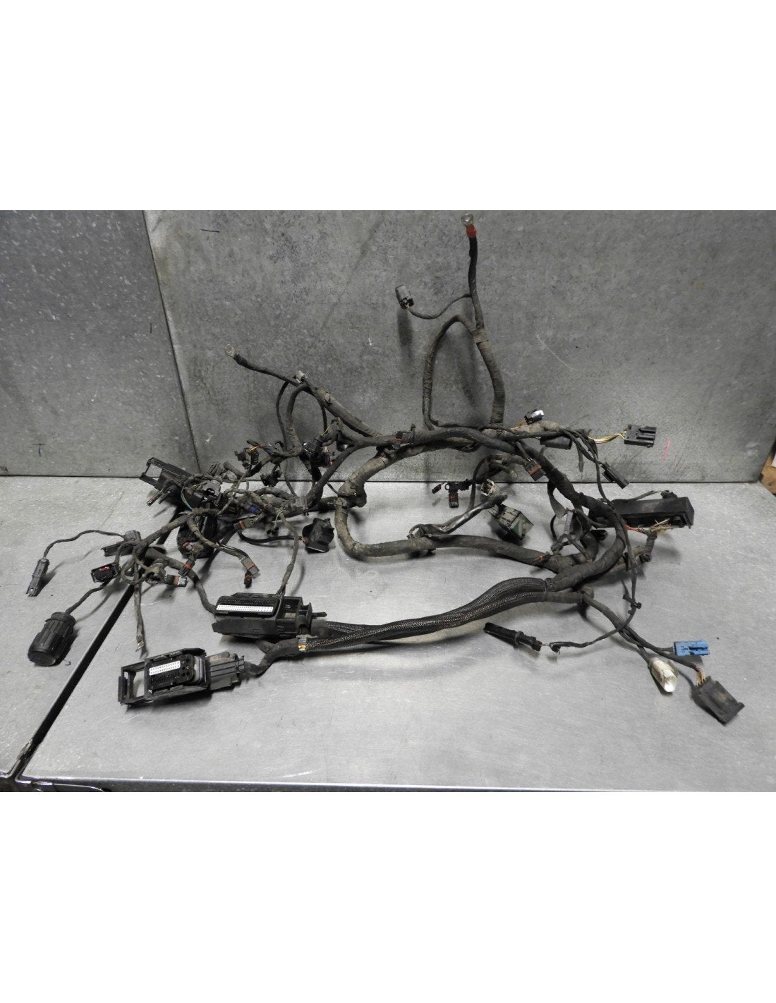 K1200S 2005 - 2008 BMW Kabelboom Kabelboom hoofd D1-43309