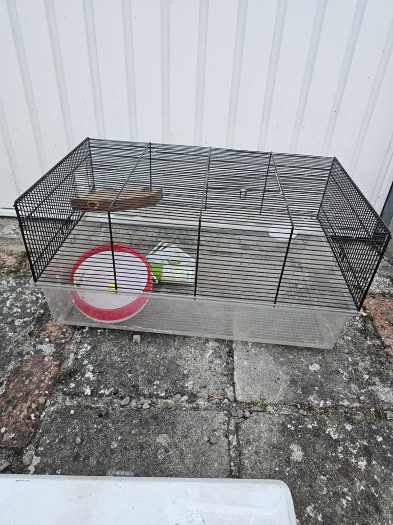 hamsterkooi, Enlèvement