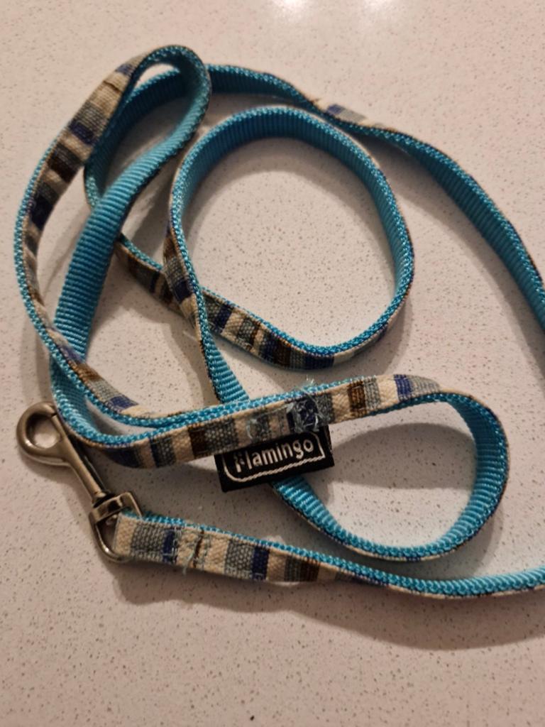Leibandje voor puppy, Ophalen