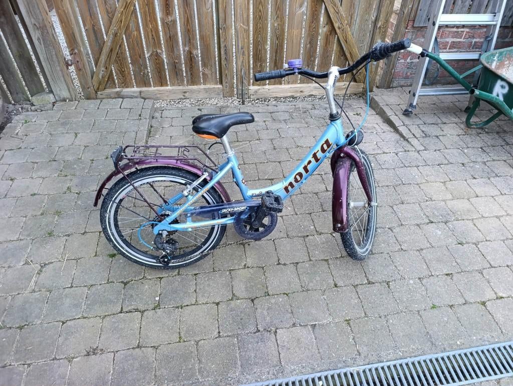 kinderfiets, Ophalen, Gebruikt, Versnellingen, 20 inch