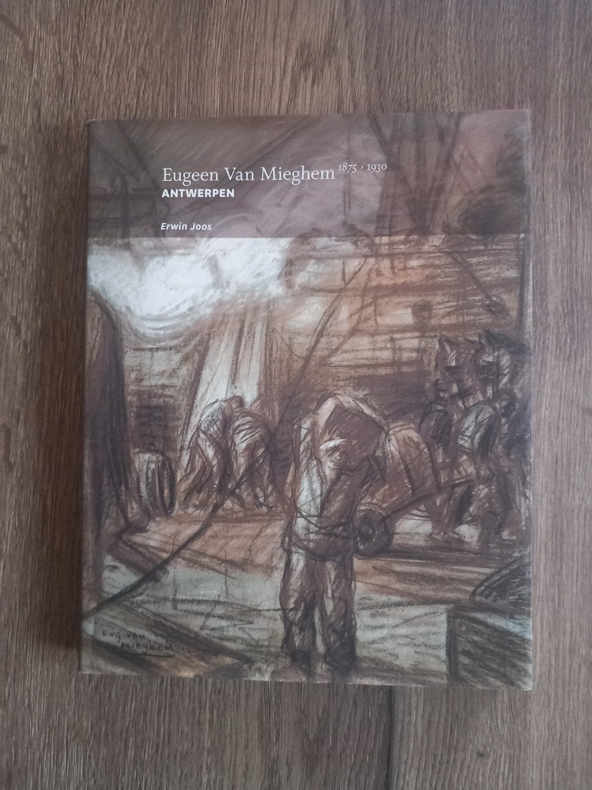 Boek Kunst Eugene Van Mieghem Antwerpen haven schilderkunst, Ophalen of Verzenden, Zo goed als nieuw, E. Joos