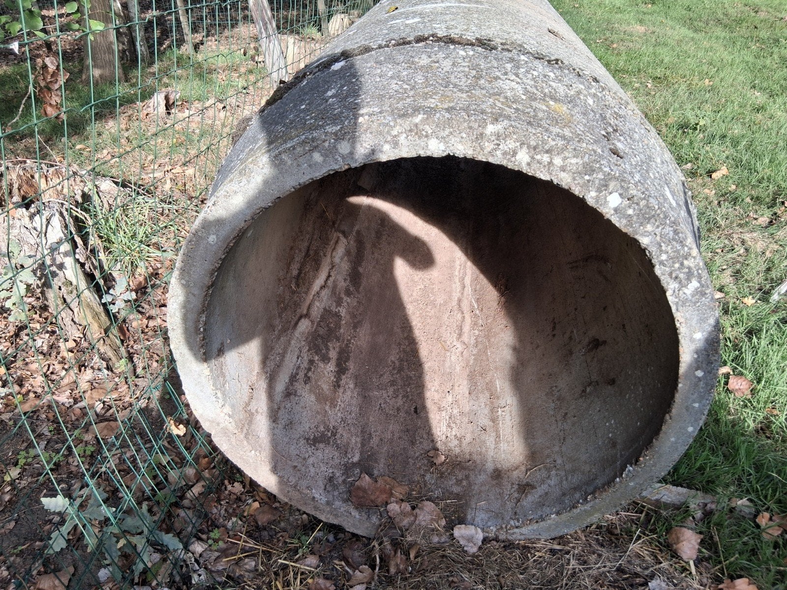 Betonnen buis(grijs) 2,50m lang 90cm diameter.10cm wanddikte, Ophalen