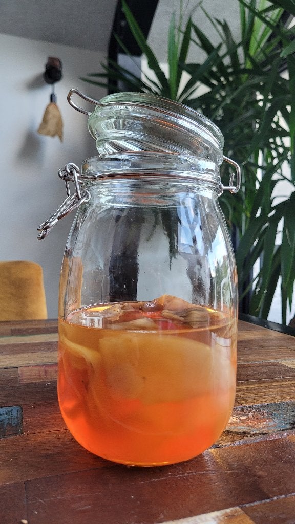 kombucha scoby, Diversen, Levensmiddelen, Ophalen
