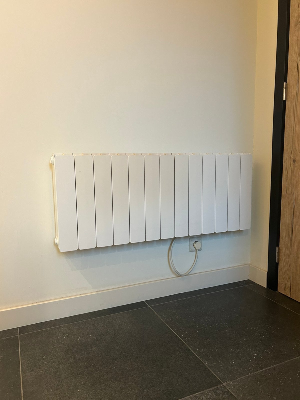 Radiateurs électriques à inertie Gruppo Ragaini, 800 watts ou plus, Enlèvement, Utilisé, Haut rendement (HR)