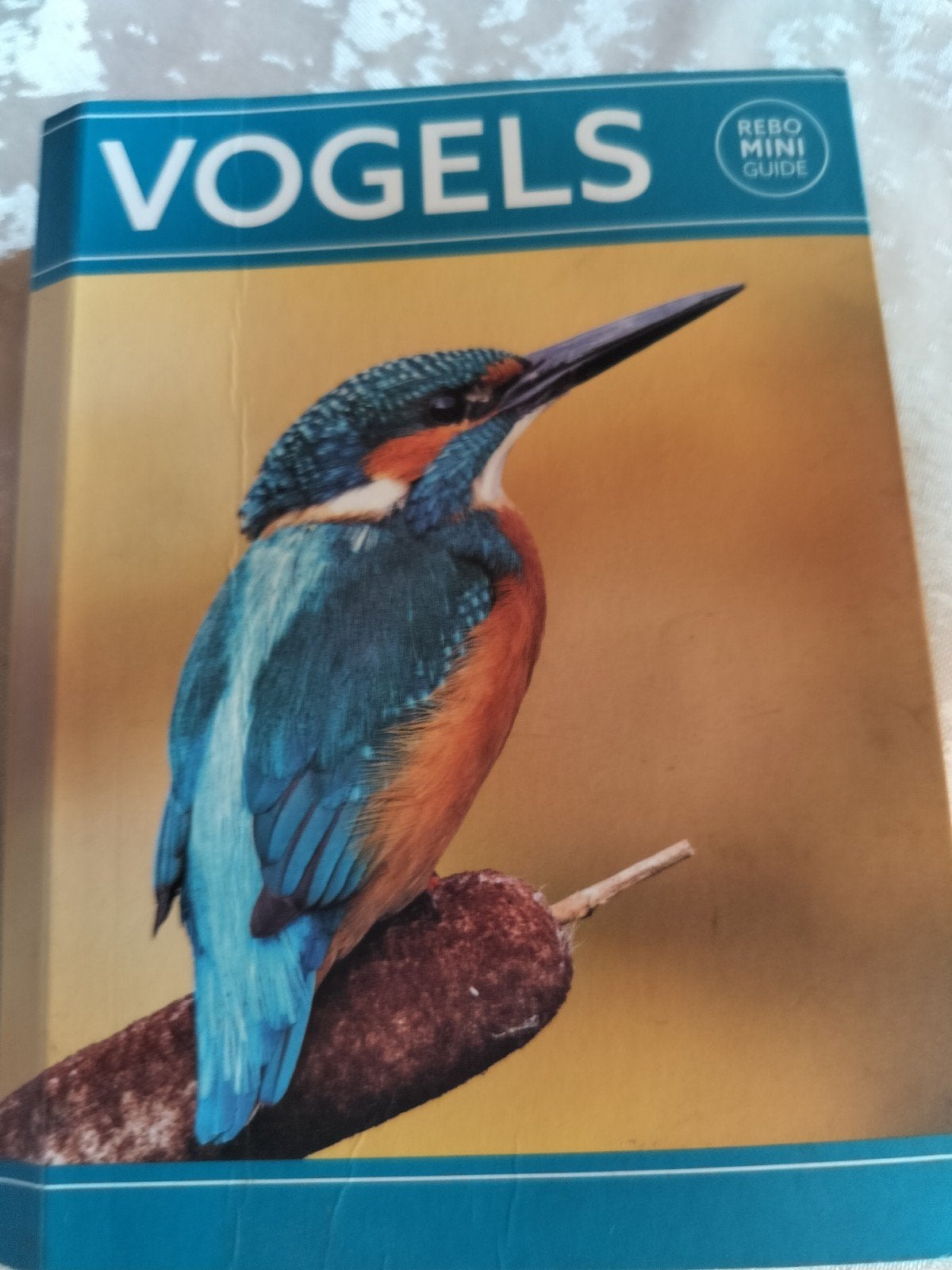 Dan Brown - Rebo mini guide - Vogels, Livres, Enlèvement ou Envoi, Oiseaux, Dan Brown