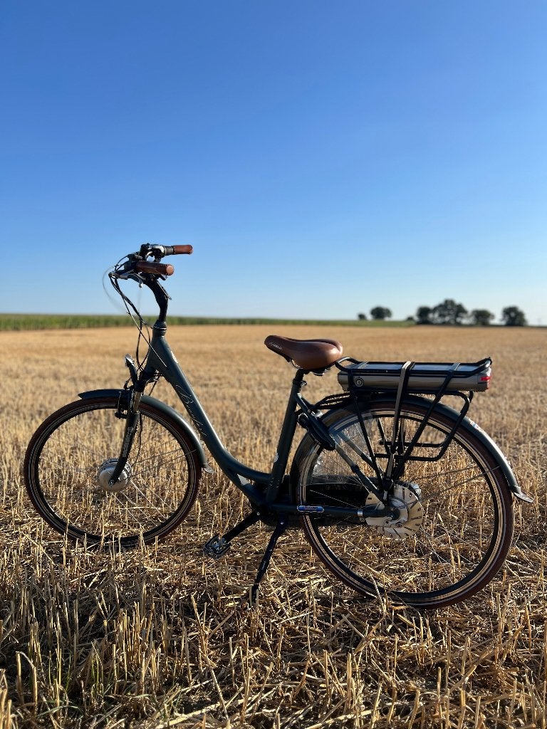 Beaufort elektrische fiets (Nederlandse stijl), Fietsen en Brommers, Ophalen