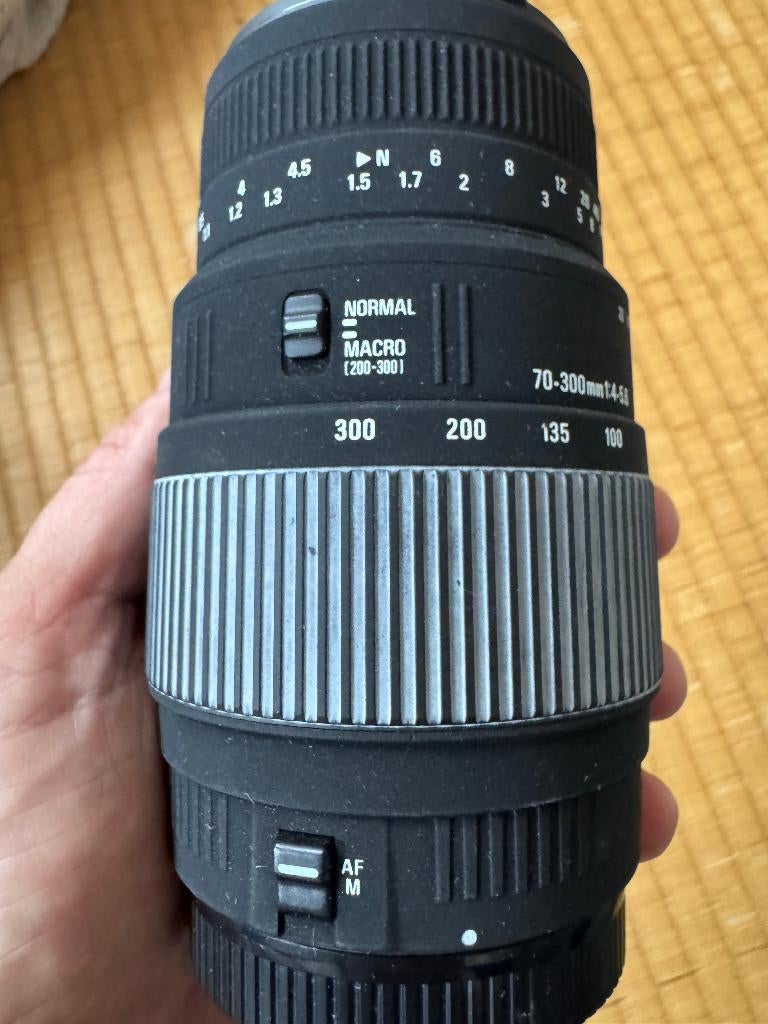 Sigma 70-300mm F4-5.6 DG Macro (Canon EF), Audio, Tv en Foto, Foto | Lenzen en Objectieven, Gebruikt, Telelens, Ophalen