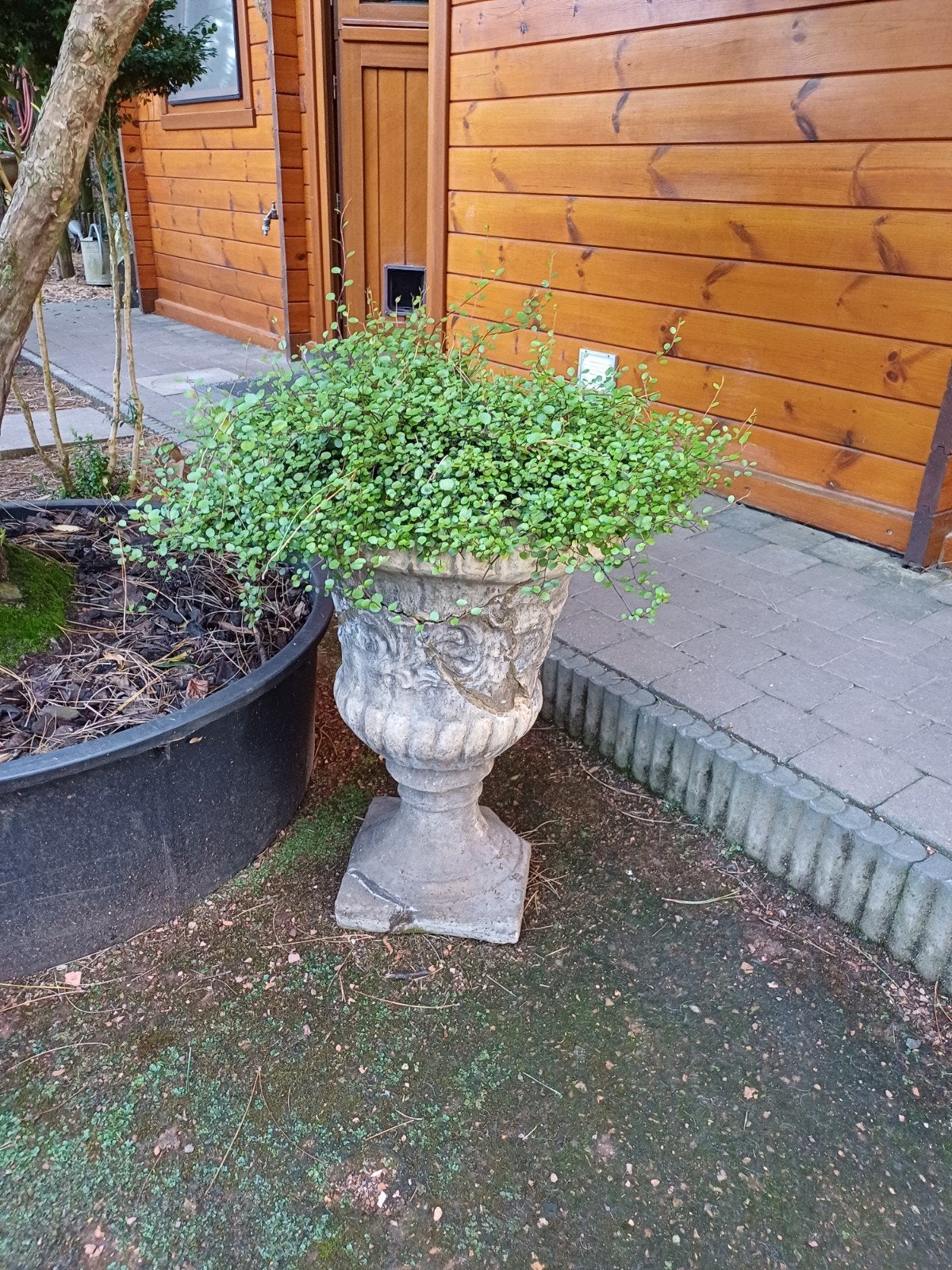vaas op sokkel, Jardin & Terrasse, Vases de jardin, Enlèvement