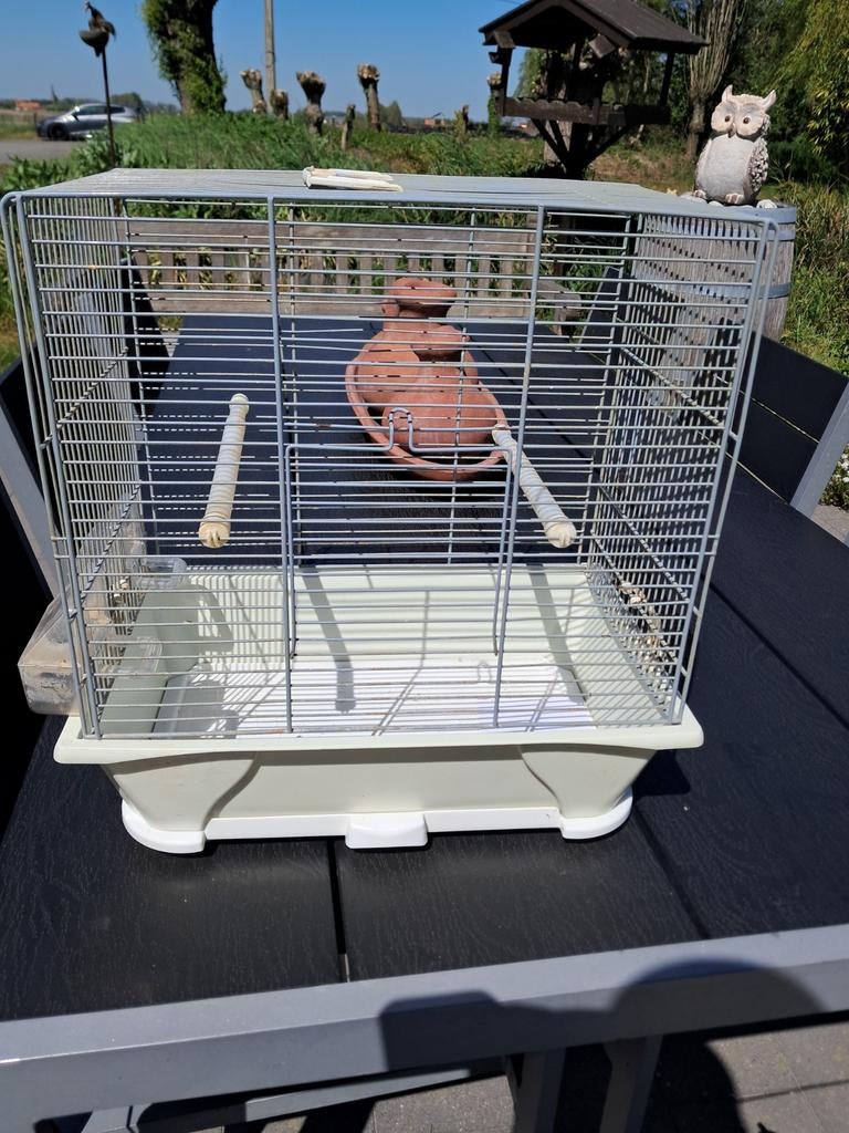 Cage à oiseaux, Animaux & Accessoires, Oiseaux | Cages & Volières, Enlèvement