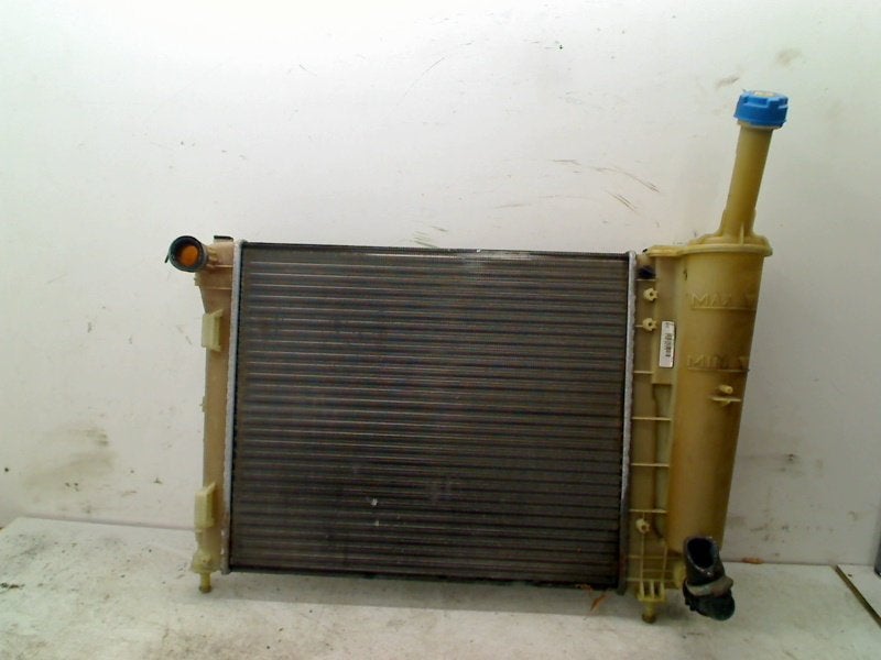 RADIATEUR EAU Fiat 500 (312) (01-2007/12-2012) (8795650), FCA Germany GmbH, IPC D1-09 Bahnhofsplatz
65423  Rüsselsheim am Main, DE