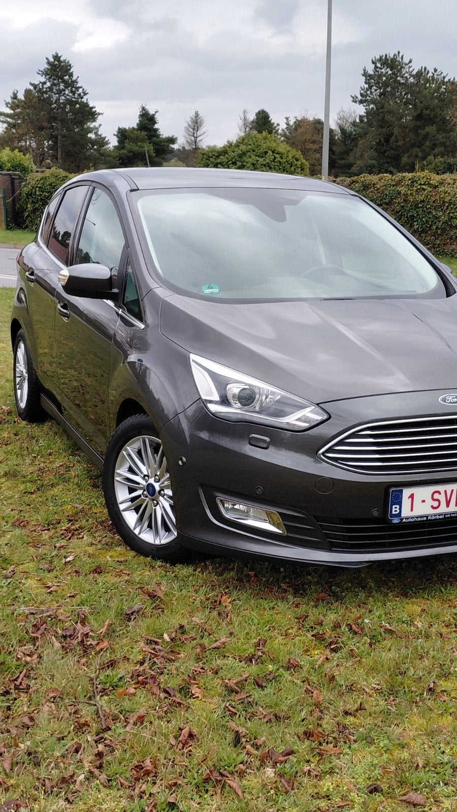 Ford C-Max 1.0 EcoBoost Titanium, Particulier, Zetelverwarming, Te koop, C-Max
