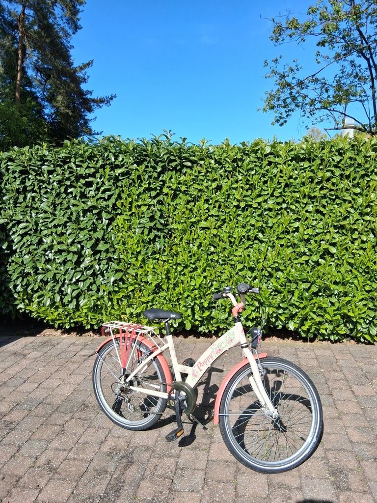 Meisjesfiets merk Poppy, leeftijd 6 tot ong. 11 jaar.Volledi, Ophalen