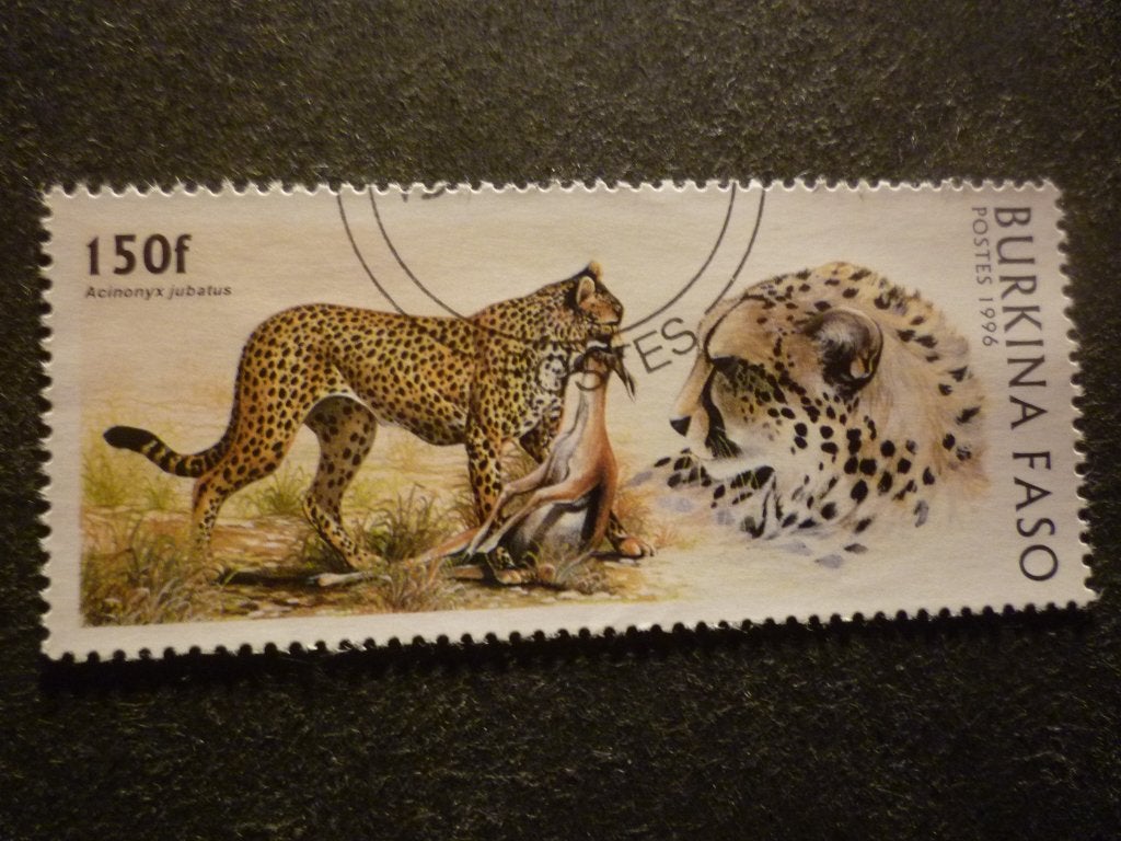 Burkina Faso 1996 Mi 1438(o) Gestempeld/Oblitéré, Postzegels en Munten, Verzenden, Gestempeld