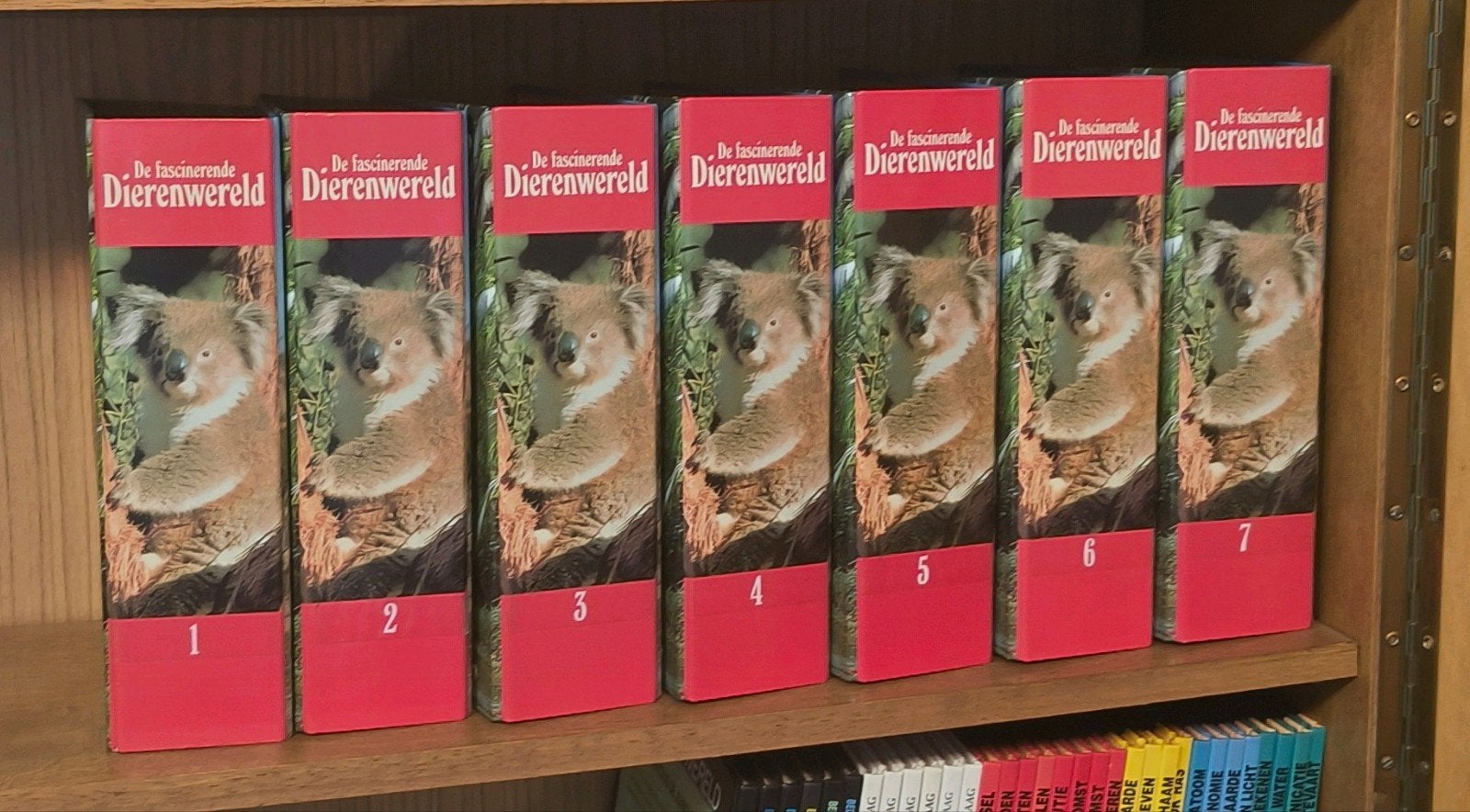 Artis Historia : De Fascinerende Dierenwereld, Enlèvement