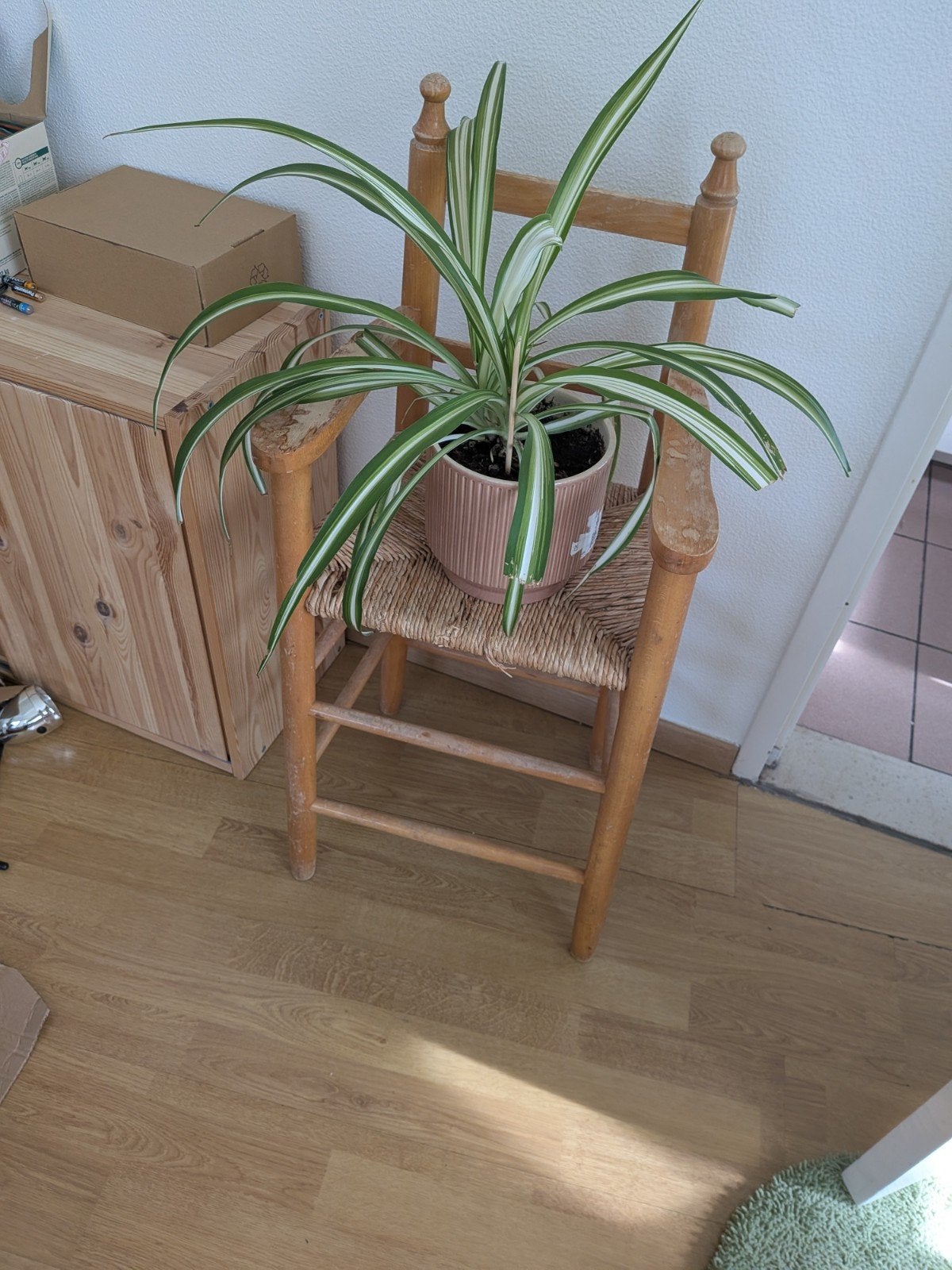 children chair l / Cher / plant stand, Huis en Inrichting, Ophalen