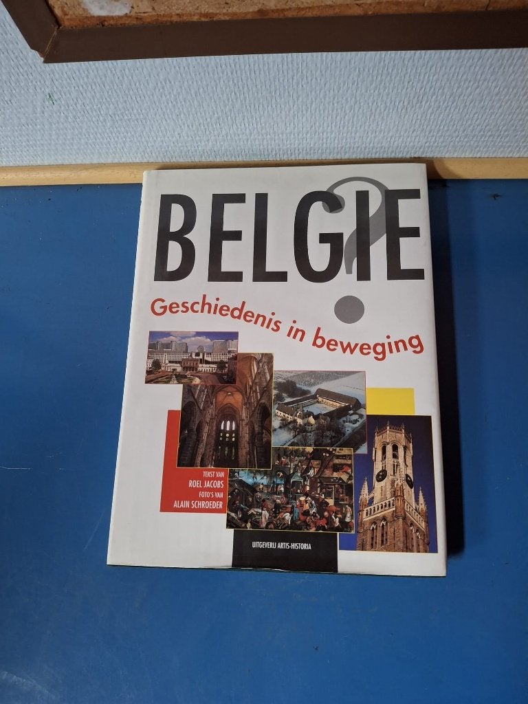 geschiedenis in beweging, Boeken, Geschiedenis | Nationaal, Ophalen, Gelezen