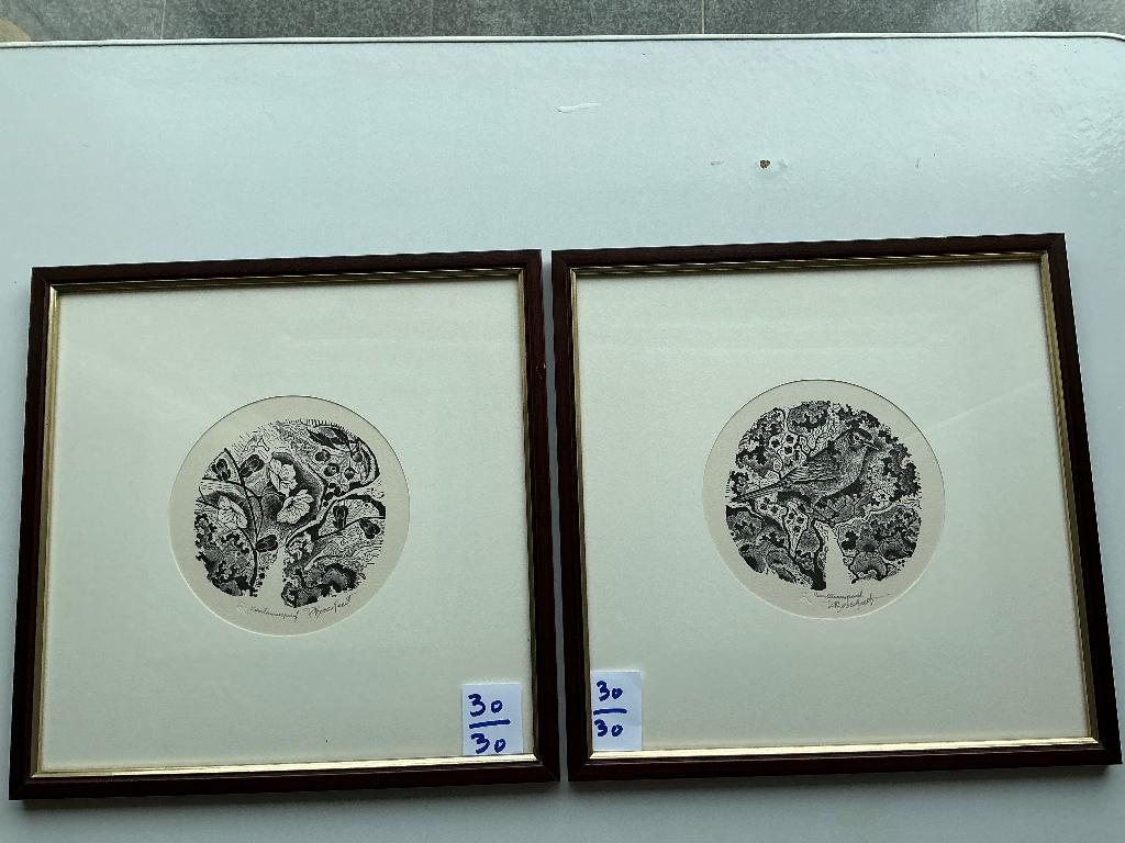 2 mooie litho's van Renaat Bosschaert van 30 cm op 30 cm, Antiek en Kunst, Kunst | Litho's en Zeefdrukken, Ophalen of Verzenden