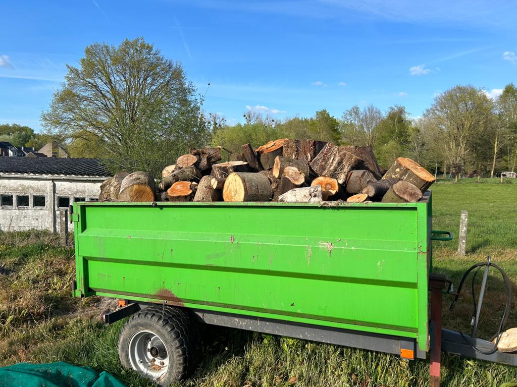 Brandhout, Ophalen