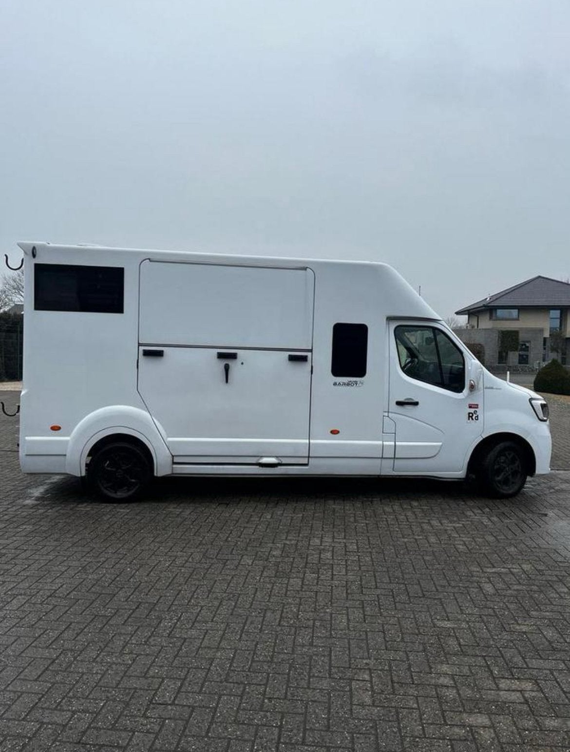 Te koop, Dieren en Toebehoren, Ophalen