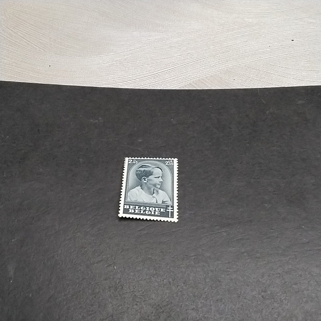 BELGIQUE 446 menthe avec cote 6,50€, Enlèvement ou Envoi, Neuf