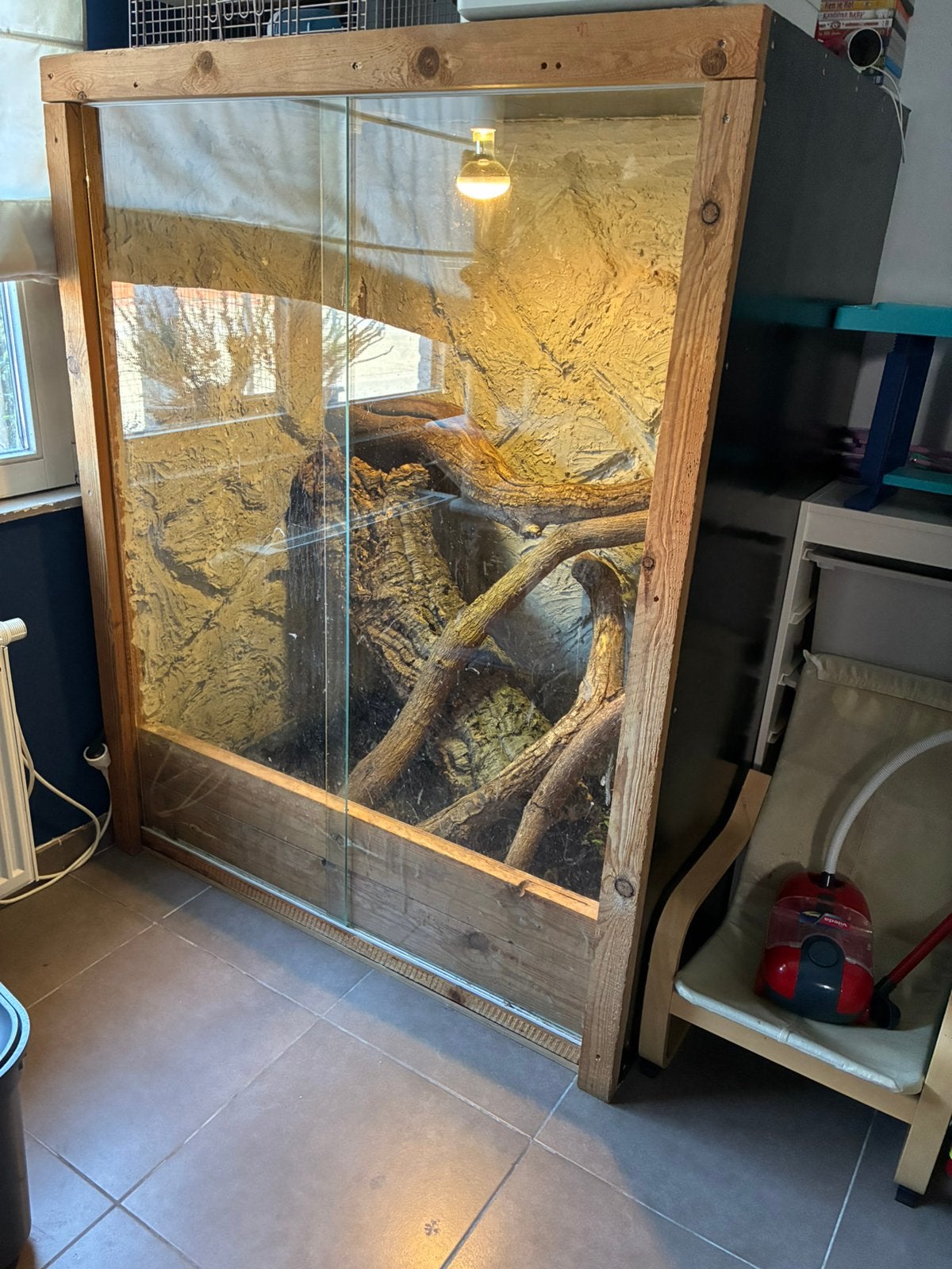 Groot terrarium 1m60h, 1m25b en 85 diep, Dieren en Toebehoren, Ophalen, Gebruikt, Terrarium of Paludarium