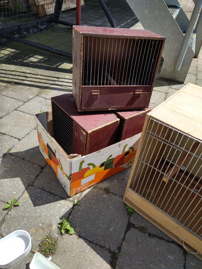 Kweekkooi en diverse, Enlèvement, Utilisé, Bois, Cage d'élevage