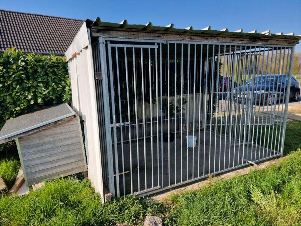 Hondenren (met hok), Dieren en Toebehoren, Ophalen
