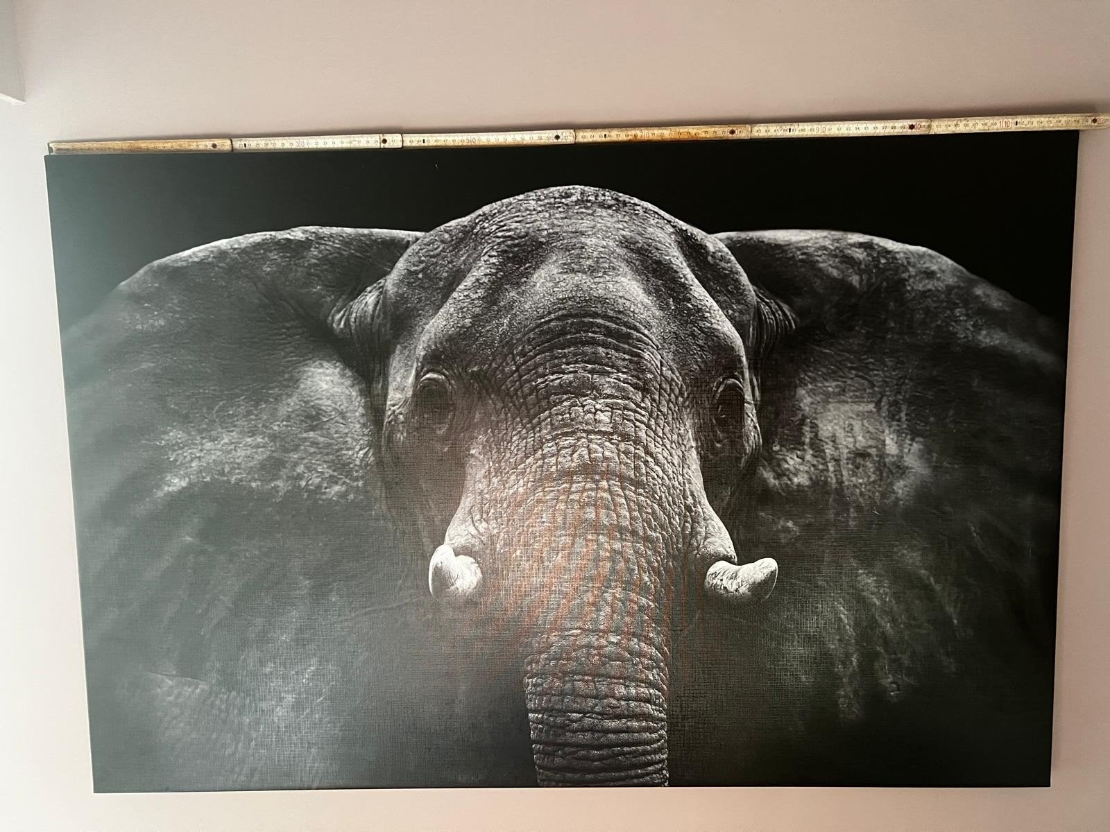 Olifant op canvas, Ophalen, Zo goed als nieuw, 100 tot 125 cm, 75 – 100