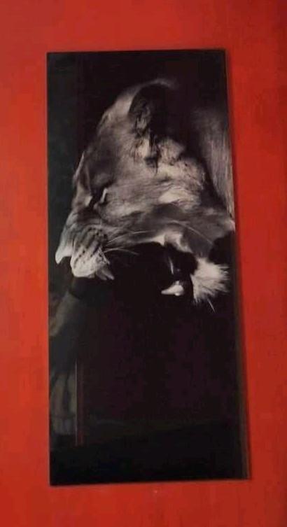 Glazen bord: Lioness, Antiek en Kunst, Ophalen