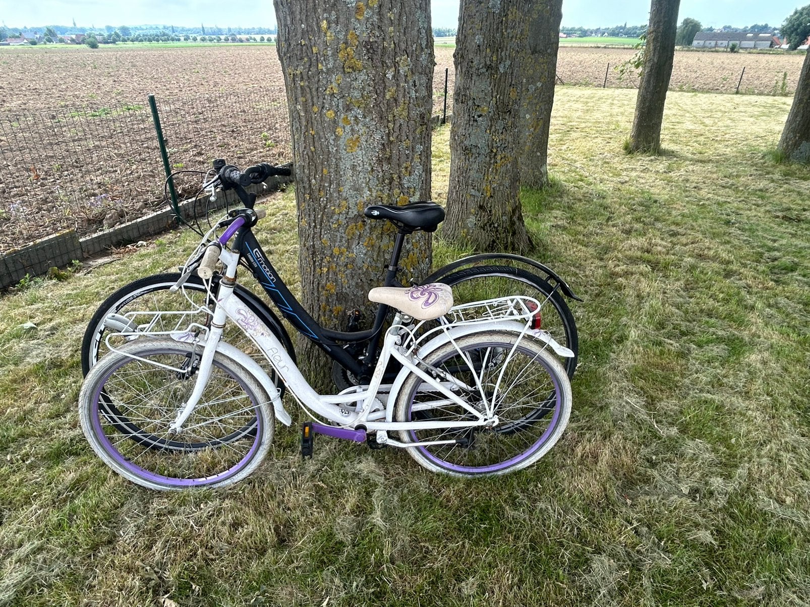 2 velo, Vélos & Vélomoteurs, Vélos | Filles, Enlèvement ou Envoi, Comme neuf