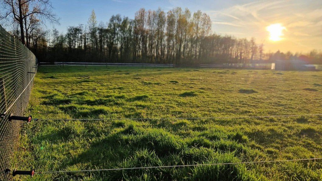 weide te huur Merelbeke