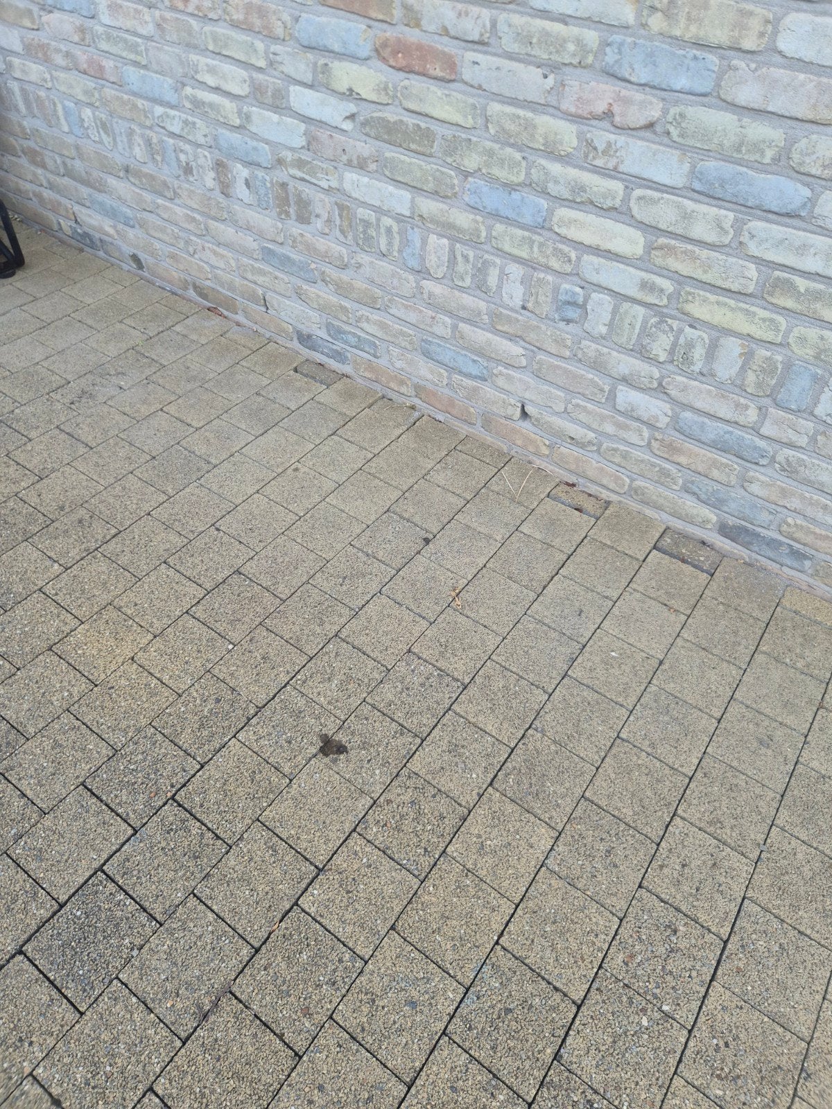 betonklinker oker GRATIS, Tuin en Terras, Tegels en Klinkers, Ophalen