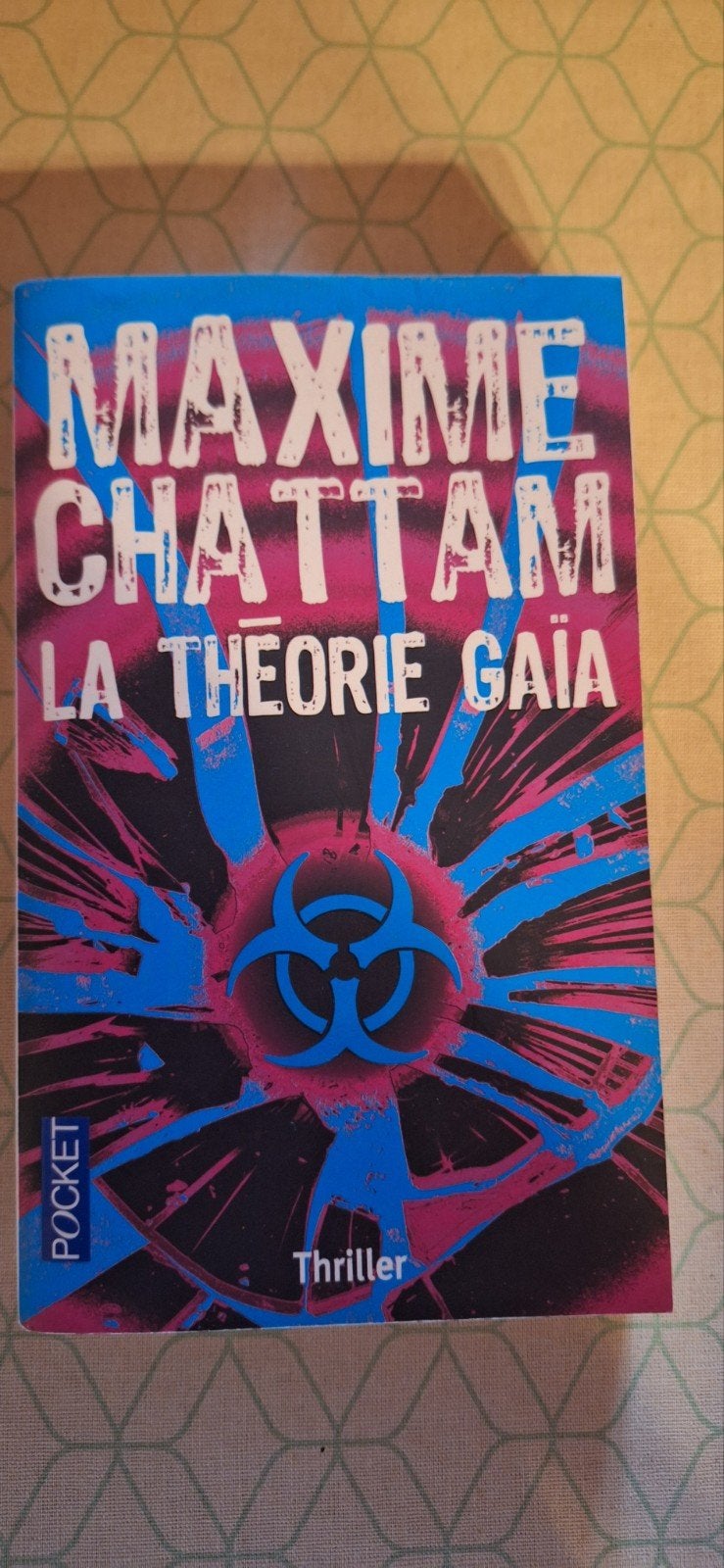 Maxime Chattam - La Theorie Gaia, Enlèvement, Maxime Chattam