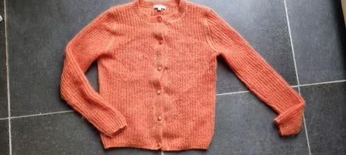 oranje wollen trui / vest van Gigue maat 36 of Smal, Gigue, Oranje, Ophalen of Verzenden, Zo goed als nieuw