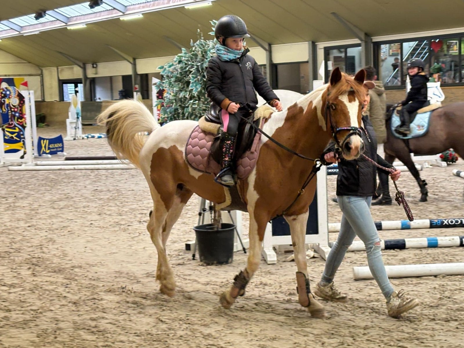 Bonnie de bonte D pony, Animaux & Accessoires, Poneys, Jument