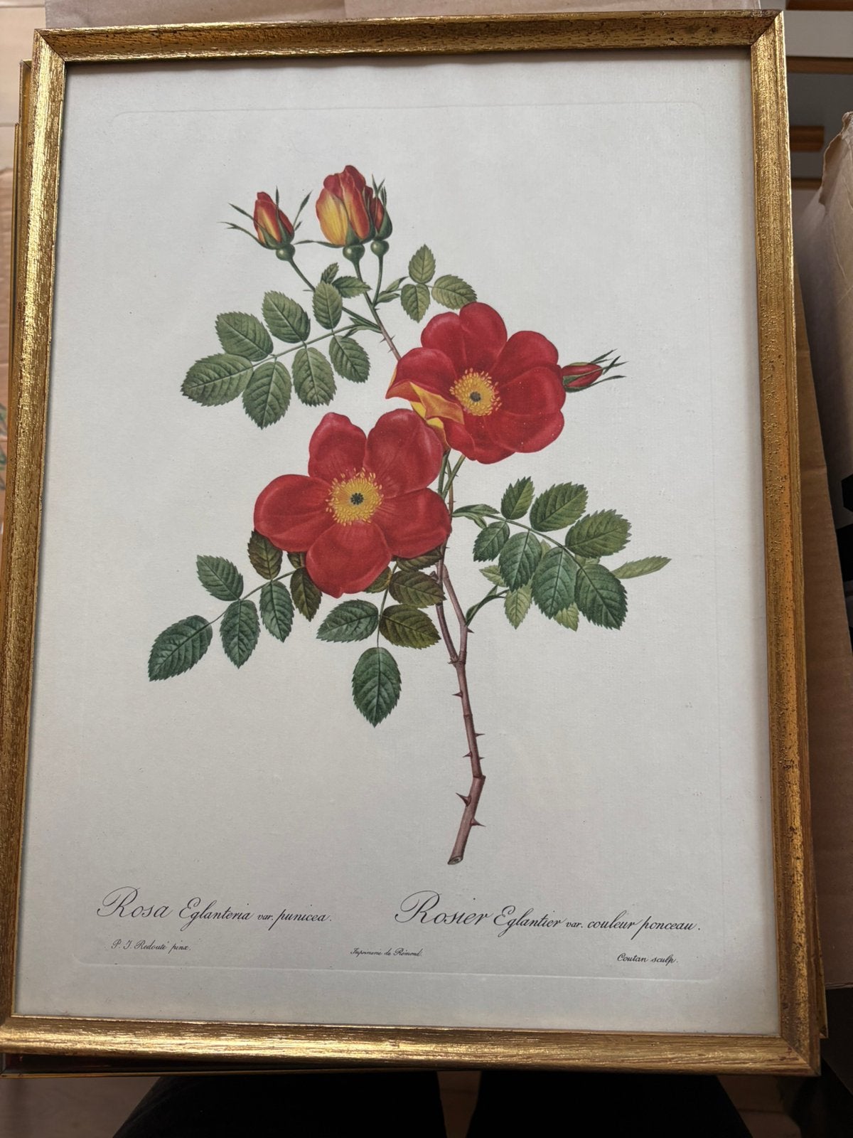 6 Vintage prints in gouden houten kader, Ophalen