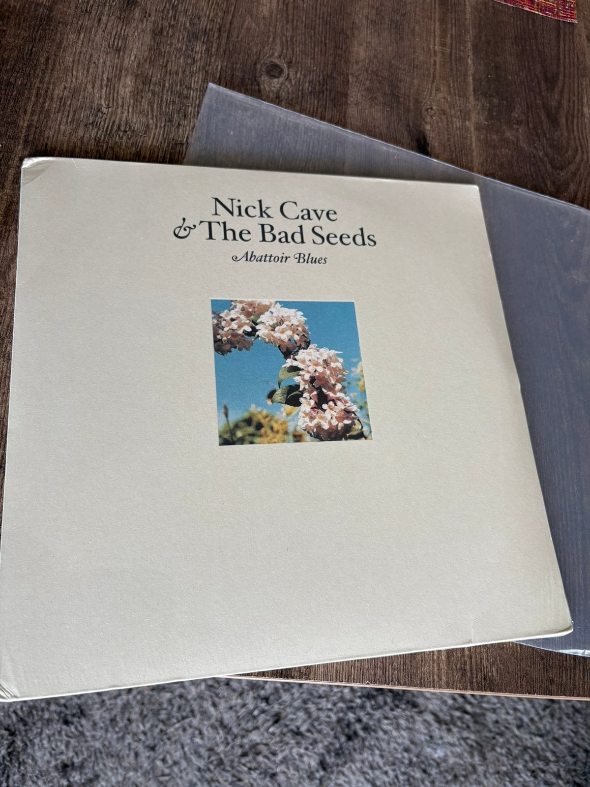 Nieuwe vinyl nick cave, 2010 - 2019, Ophalen of Verzenden, Beschermende buitenhoes, Nieuw in verpakking