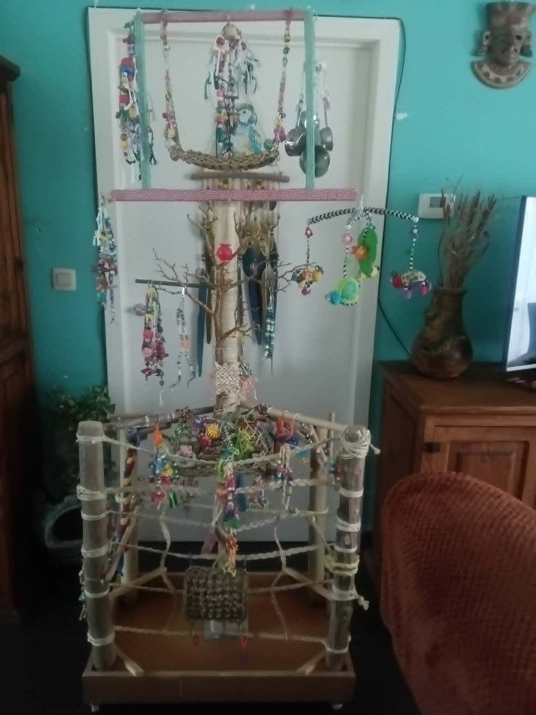 papegaai standaart, Papegaai